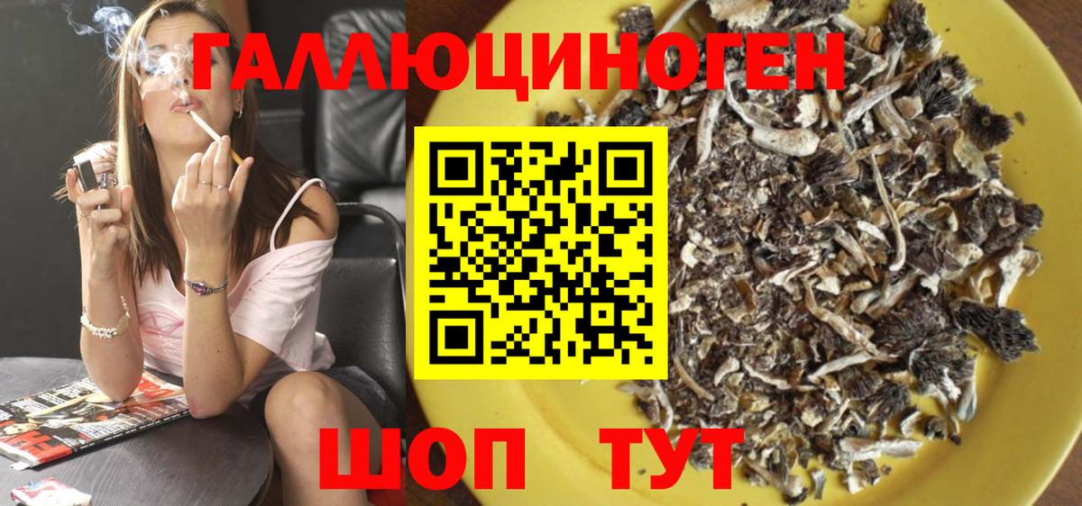 Псилоцибиновые грибы ЛСД Кулебаки